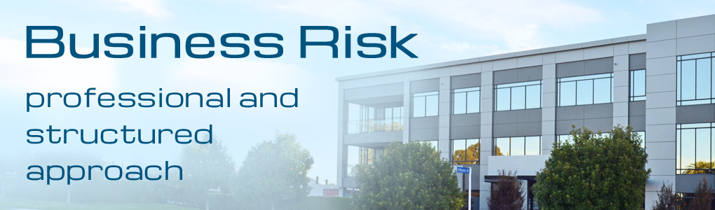 Business Risk Insurance
